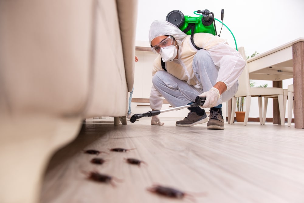 Do Apartments and Residential Houses Have the same chance of Getting Cockroaches?