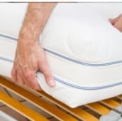 bed-bug-inspection-cambridge